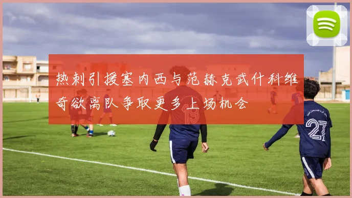 热刺引援塞内西与范赫克武什科维奇欲离队争取更多上场机会
